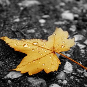 啊轻点灬太粗嗯太深了医生视频
